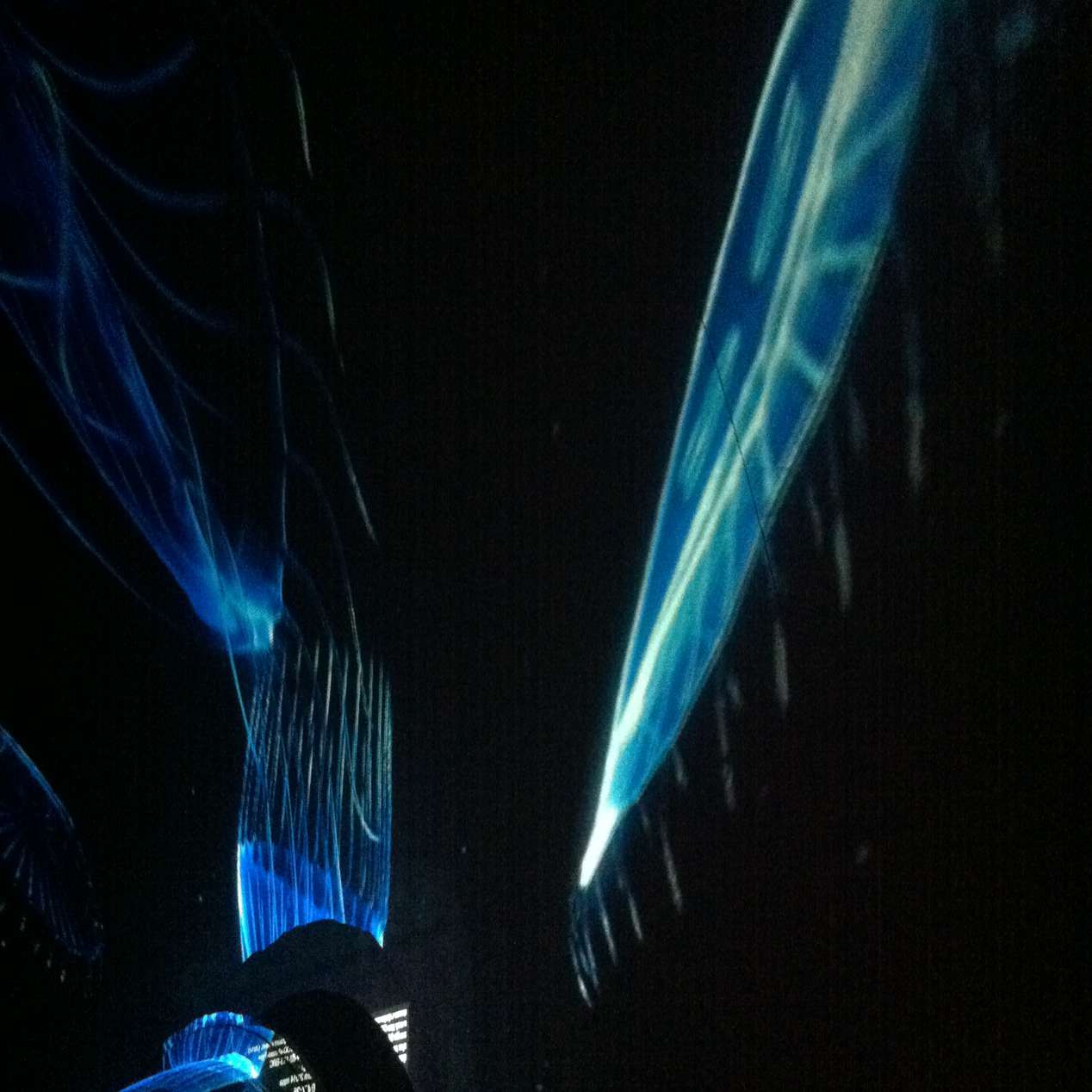 27 show